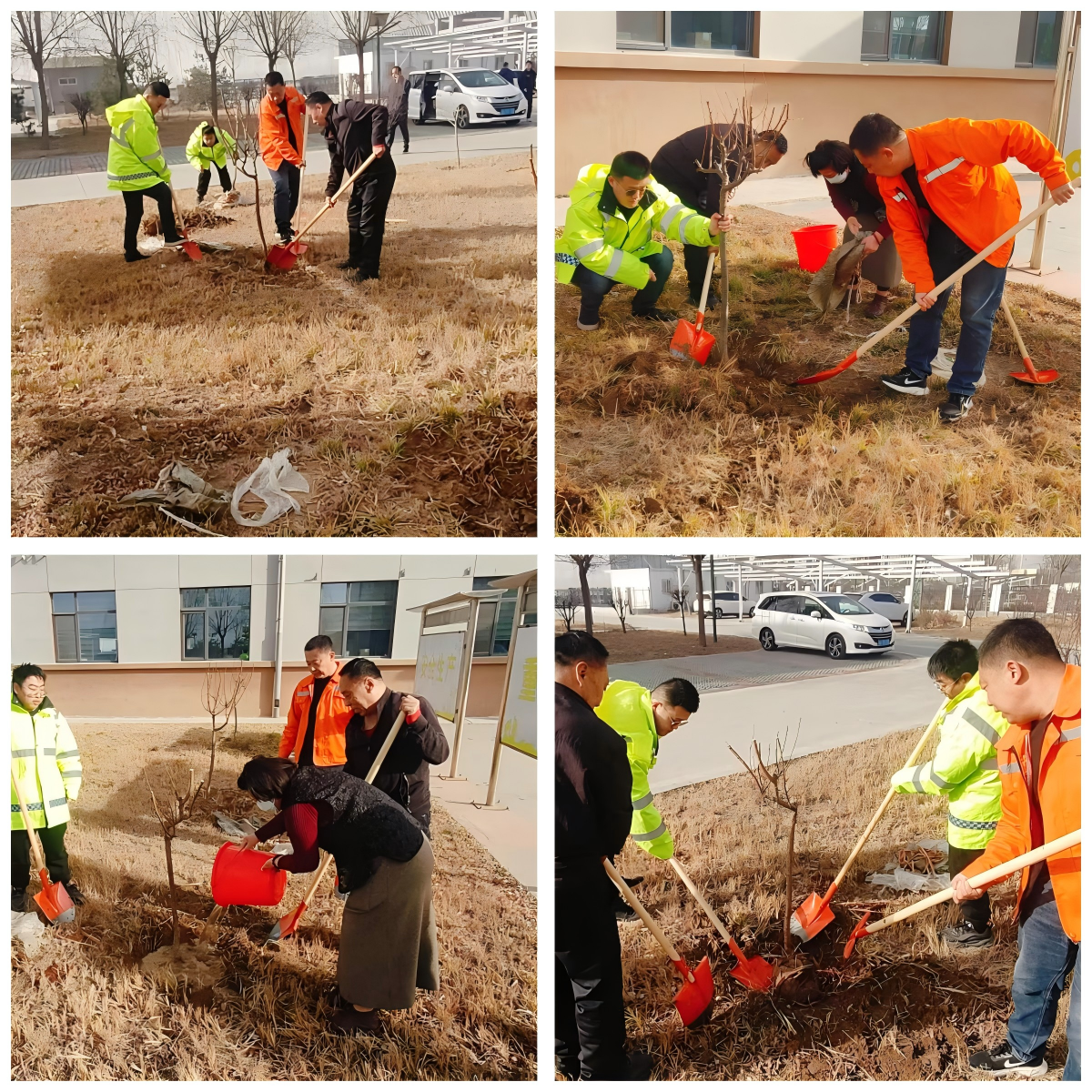 任丘工区植树节活动.png 任丘工区植树节活动.png
