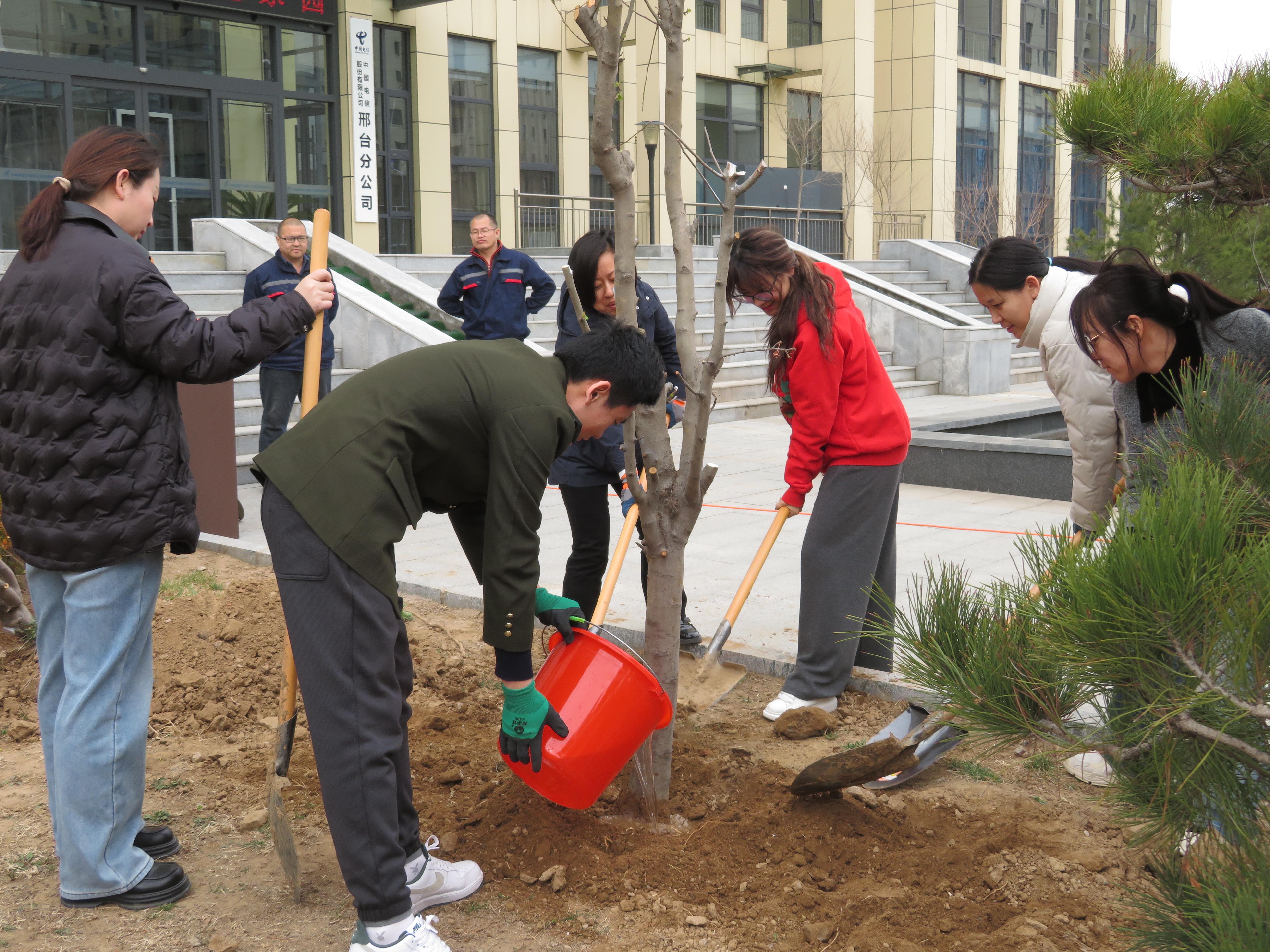 IMG_1033.JPG IMG_1033.JPG