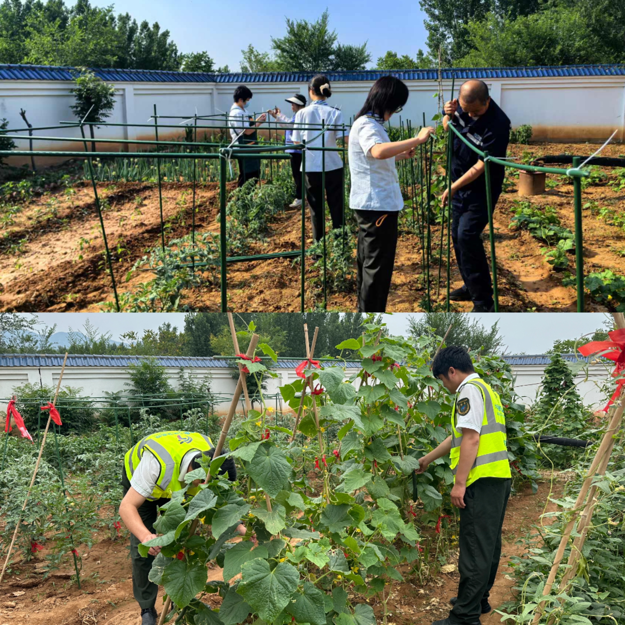 991431a2dc3a5a9c23adb5db0730118.jpg 991431a2dc3a5a9c23adb5db0730118.jpg