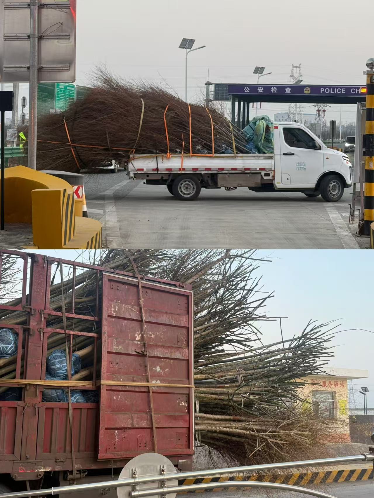 6ccb0cefe570fc88a030a3bbe277c360.jpg 6ccb0cefe570fc88a030a3bbe277c360.jpg