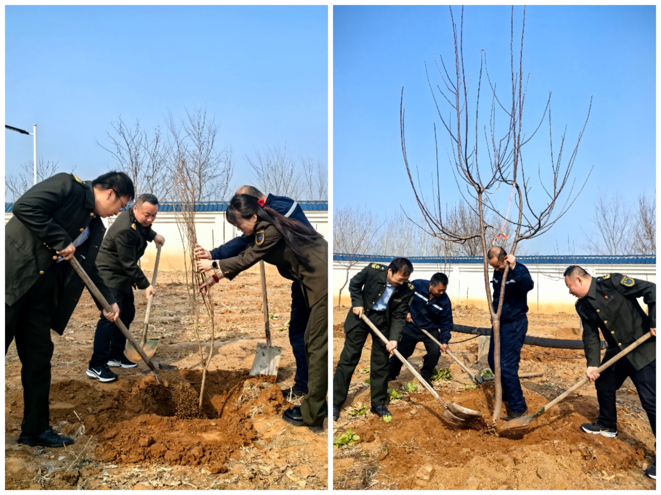 大道向绿 九州网页版在行动——内丘北收费站植树节添新景 (2).jpg
